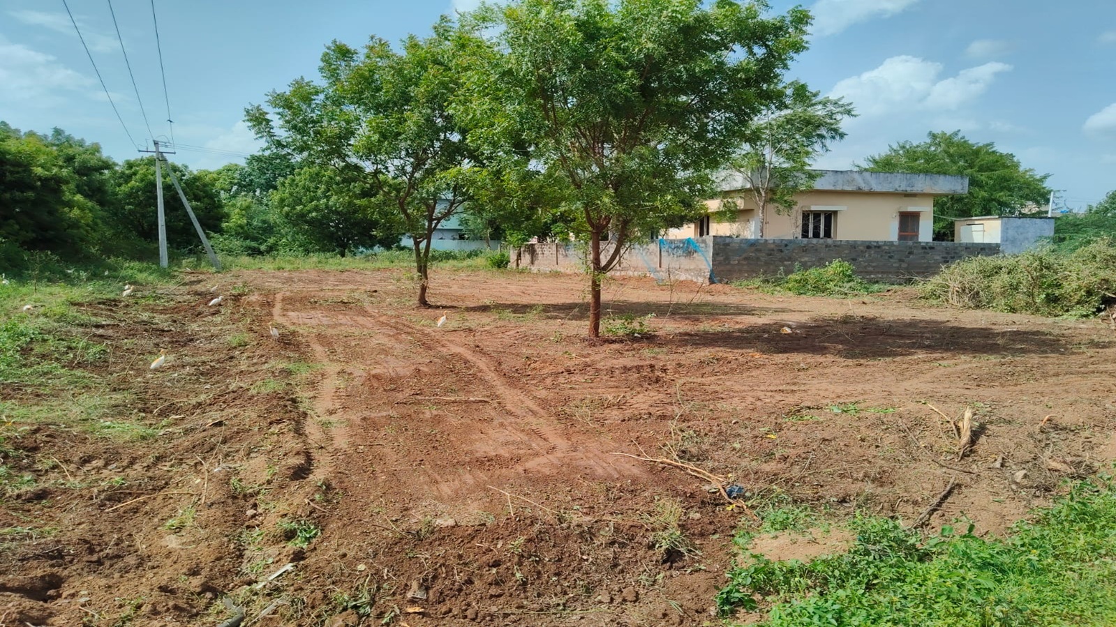 Plot 166 After Cleanup